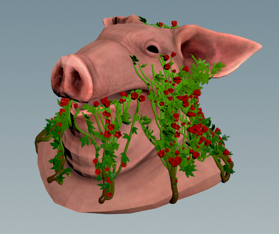 Pig surface